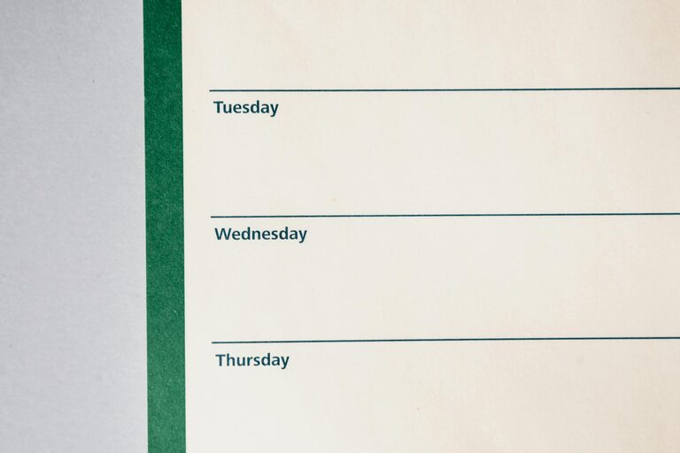 Simple Cleaning Schedule for the Whole Week to Keep Your Home Tidy