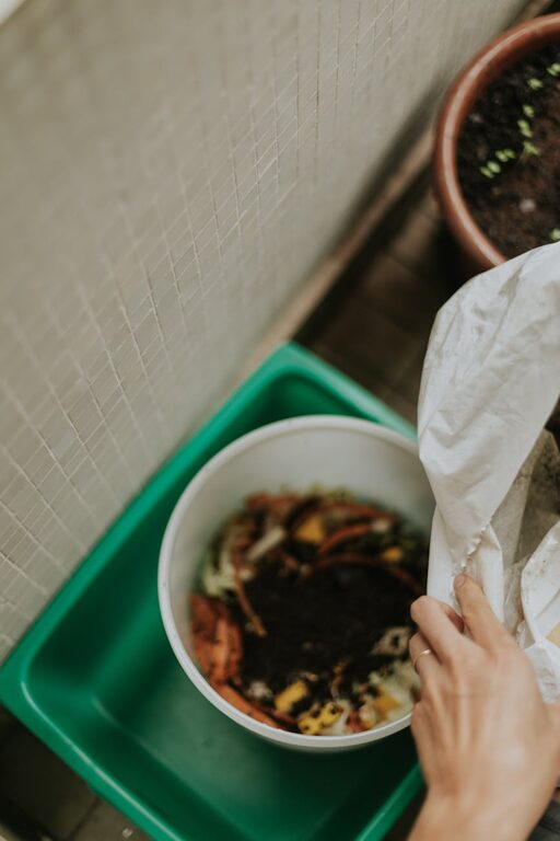 Beginner Tips for Composting at Home: Easy Steps to Start Composting Today